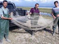 Van'da kaçak avlanmış balık ele geçirildi