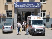 Şemdinli'de trafik kazası