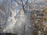 Hakkari'de ağaçları buz tuttu