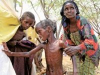 Kızılay'dan Yemen'e yardım çağrısı