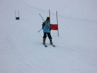 Okullar Arası Alp Disiplini Kayak Yarışması