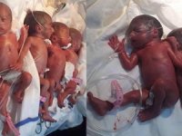 Yediz bebekler dünyaya geldi