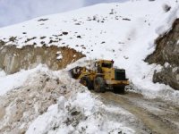 15 yerleşim yerinde karla mücadele sürüyor