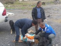 Veteriner ekipleri sokak hayvanlarına yem bıraktı