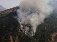 Akkaya köyünde orman yangını