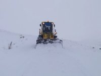 Van’da karla mücadele çalışması