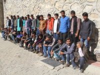 Başkale'de 39 düzensiz göçmen yakalandı