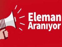 Özel şirket bayan eleman arıyor