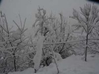 27 Aralık 2019 Hakkari'de kar manzaraları...