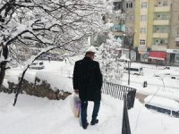 Kar yağışı Şemdinli'de de etkili olmaya başladı