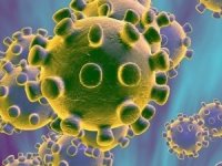 Virüste yeni gelişme: Sıtma ilacı işe yarıyor