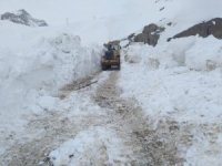 Konak köyünde karla mücadele çalışması