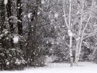 Meteorolojiden kar yağışı ve don uyarısı