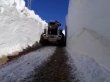 Çobanpınar köyünde karla mücadele