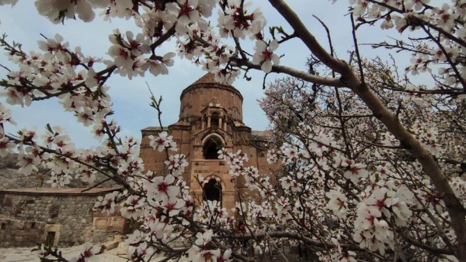 akdamar-adasinda-badem-cicekleri-acti.jpg