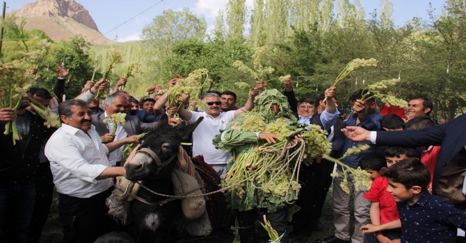 bagisli-koyu-isgin-festivali-1.jpg