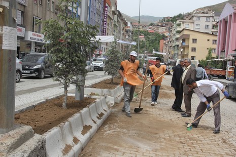 belediye-3.20140605120852.jpg