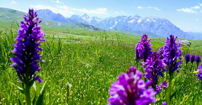 bercelan-1-002.jpg bercelan-1-002.jpg