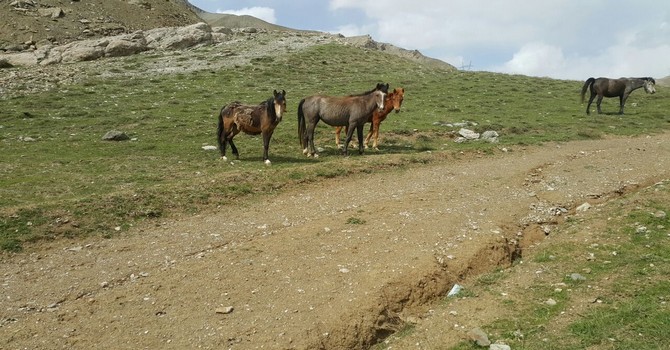 bercelan-3-001.jpg bercelan-3-001.jpg