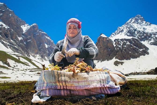 cennet-cehennem-vadisinde-pancar-mesaisi.jpg