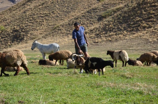 cobanliktan-milli-atlete-uzanan-basari-hikayesi-2.jpg