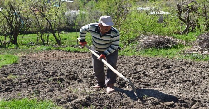 cukurca-bahar-hazirliklari-2.jpg