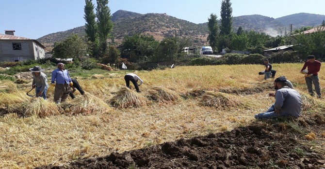 cukurca-da-ekim-zamani-5.jpg