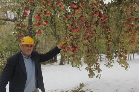 dakp-bahceleri-zarar-gordu-1.20141022171858.jpg dakp-bahceleri-zarar-gordu-1.20141022171858.jpg