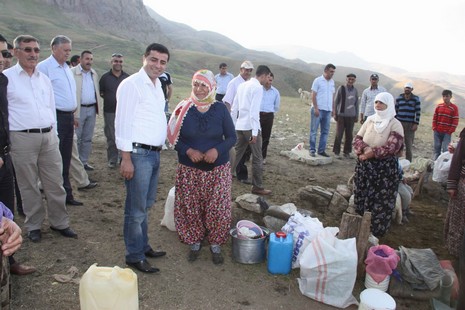 demirtas-1.20110808112252.jpg