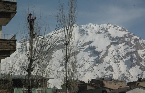 dsc_0010.20130402132225.jpg dsc_0010.20130402132225.jpg