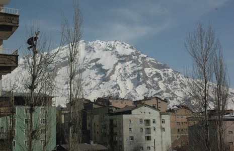 dsc_0012.jpg dsc_0012.jpg