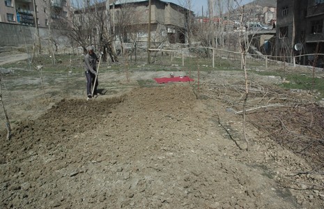 dsc_0034.jpg dsc_0034.jpg