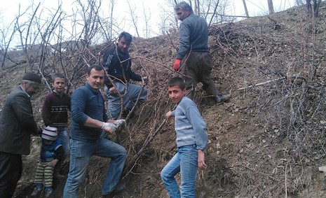 durunkaya-agac-budama-1.jpg durunkaya-agac-budama-1.jpg