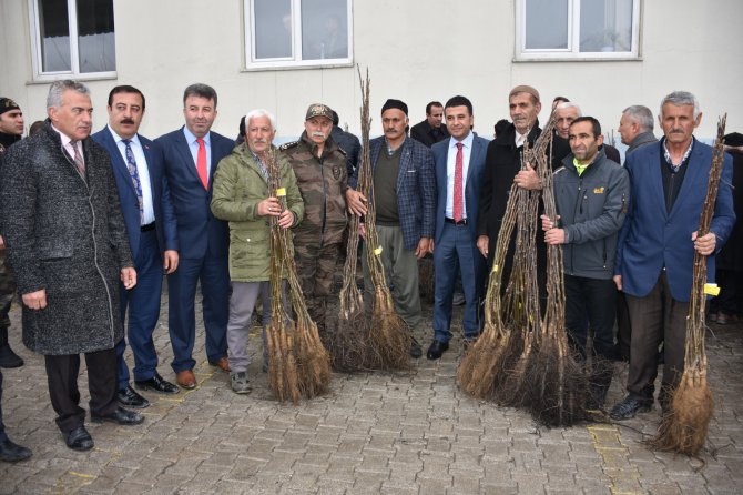 fidan-dagitimi.jpg