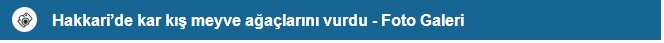 foto-galeri-meyve-agaclari.jpg