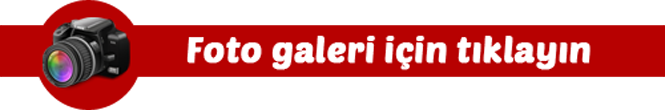 galeri1.png