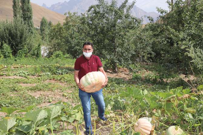 hakkari-40-kiloluk-kabaklar-3.jpg