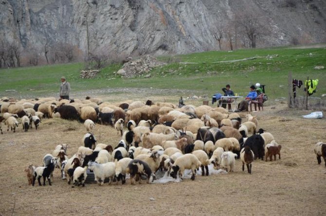 hakkari-besiciler-3.jpg