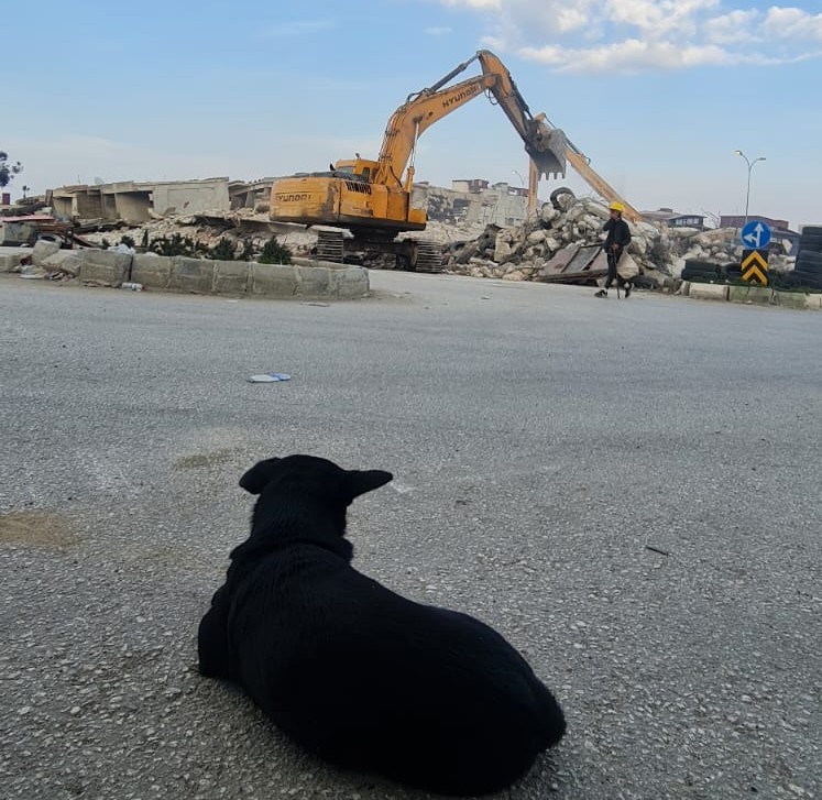 hakkari-ekibi-deprem-bolgesinde-buyuk-gorevler-usleniyor-2.jpg