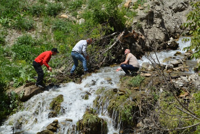 hakkari-erdali-mezrasi-1.jpg