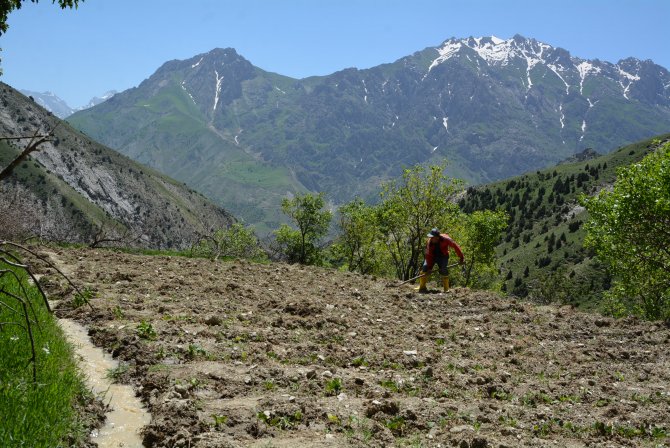 hakkari-erdali-mezrasi-4.jpg