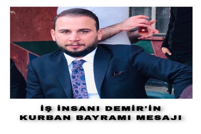 is-insani-demir.jpg