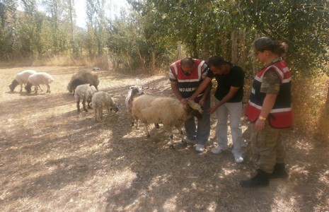 jandarma-koylulere-uygulamali-hirsizlik-egitimi-3.jpg jandarma-koylulere-uygulamali-hirsizlik-egitimi-3.jpg