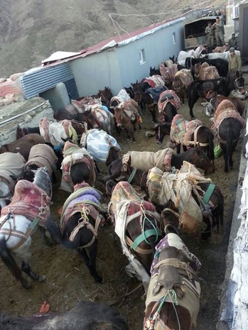 katir-1.jpg katir-1.jpg