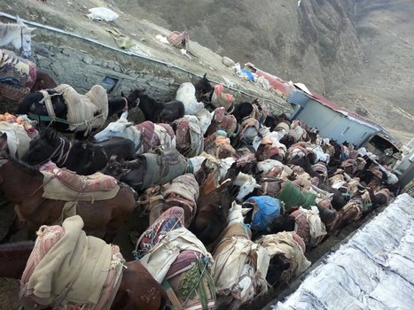 katir-2.jpg katir-2.jpg