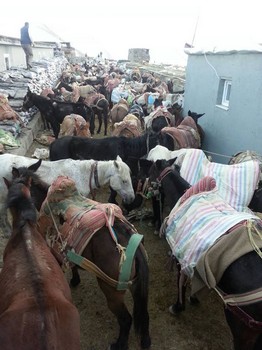 katir-4.jpg katir-4.jpg