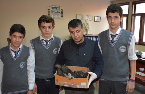 kopek-1.20141204160548.jpg kopek-1.20141204160548.jpg
