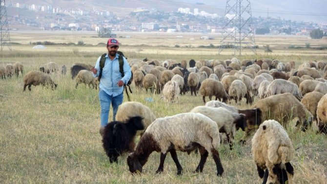 kuraklik-cobanlari-da-vurdu.jpg