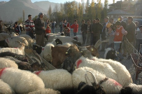 kurban-pazari-h.jpg
