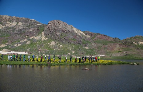 normal-5.20140624162419.jpg